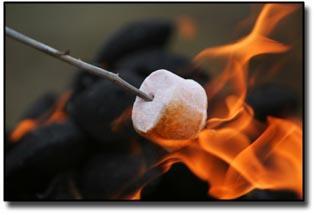 Marshmallow roasting in flame over campfire