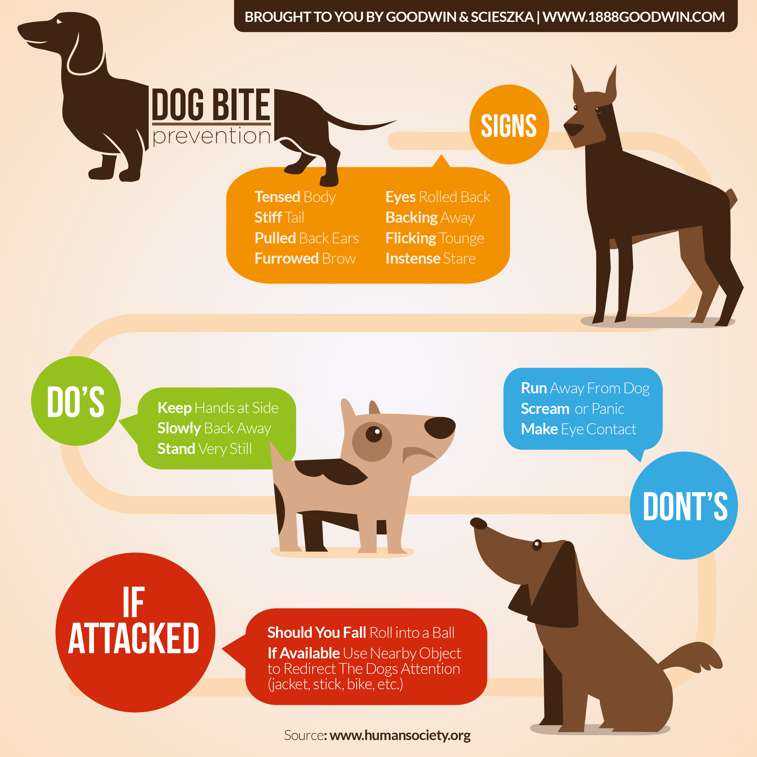 Do's and Don'ts to prevent a dog bite