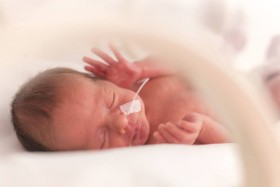 Hypothermia Therapy & Birth Injuries