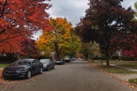 Cars parked on a road in a residential neighborhood.