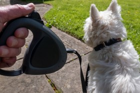Dog walker holding the handle of a retractable leash.