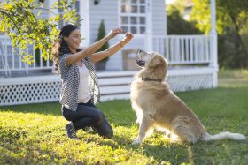 A woman tries training a dog in her yard.